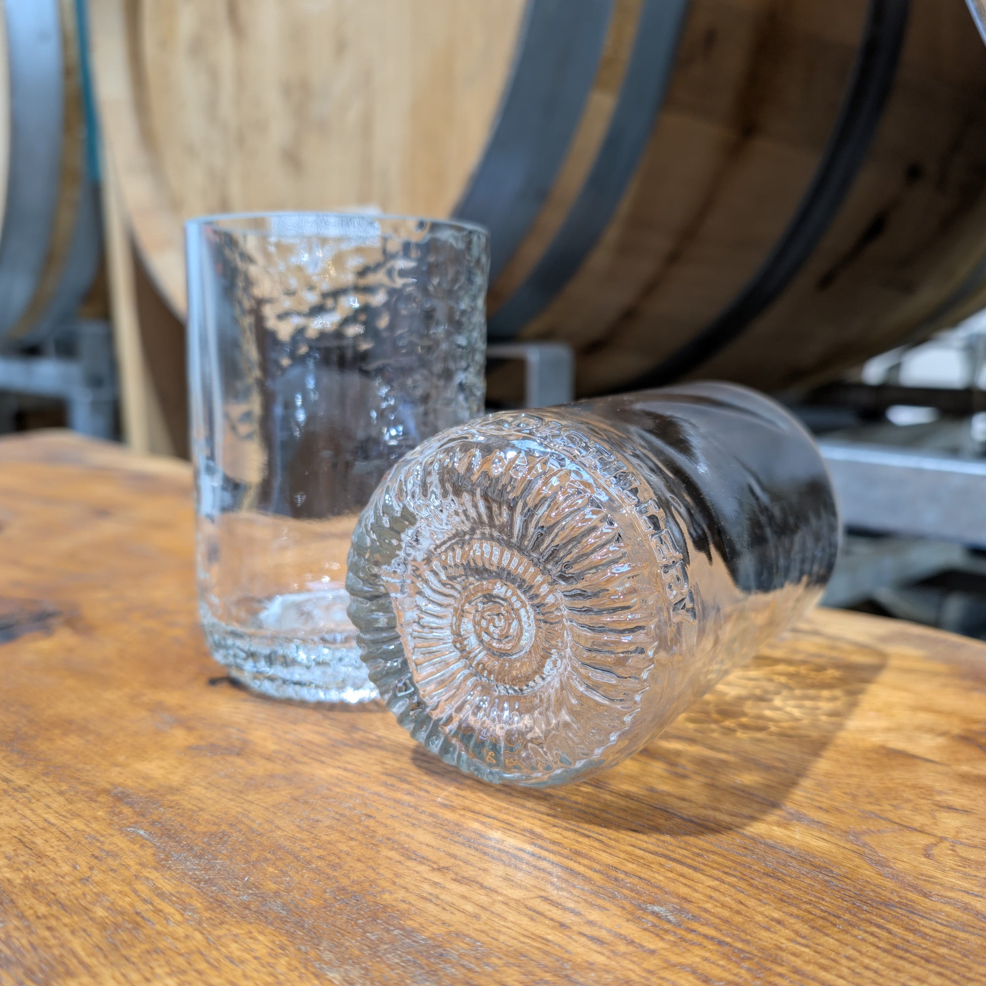 Ammonite Vase